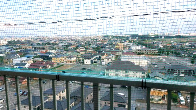 ダイアパレスビッグウィング深谷（内装一部リフォーム済）の展望