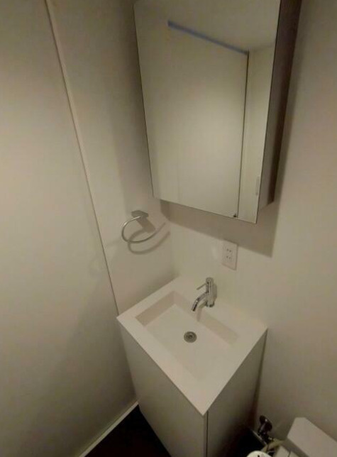 Fullea若林　築浅　礼金0　ネット0　セキュリティ完備の洗面所