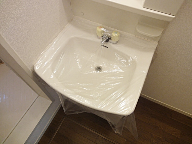 紅葉ヶ丘フォーテックⅡの洗面所