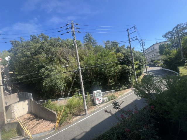 ジュリオ朝霧の展望