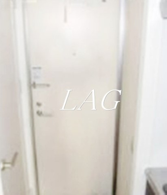 【玄関】 | グリシーヌ西鶴間 | 玄関です。