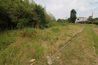 【外観】 | 防府市台道（母屋＋蔵＋農地） | 地目：田