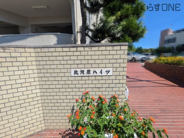 【外観】 | 北河原ハイツ