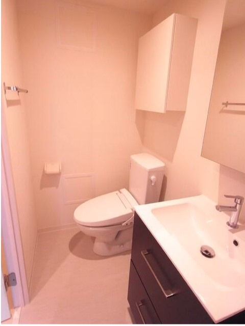 リブリ・東上野の洗面所