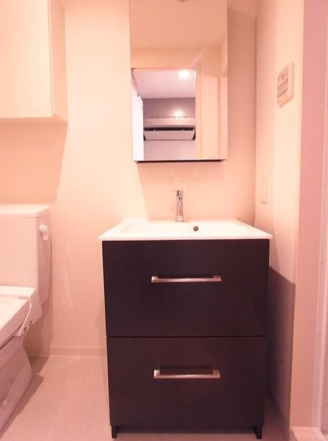 リブリ・東上野の洗面所