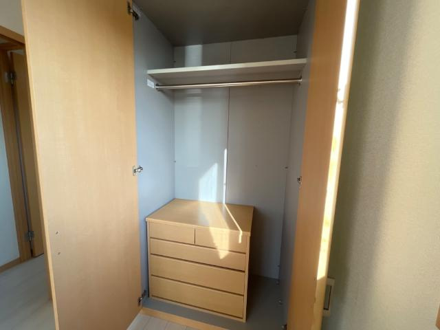 ルミナスの収納|クローゼット