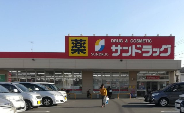 西堀4丁目戸建ての周辺|ドラックストア