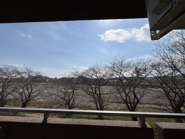 IBB6の展望