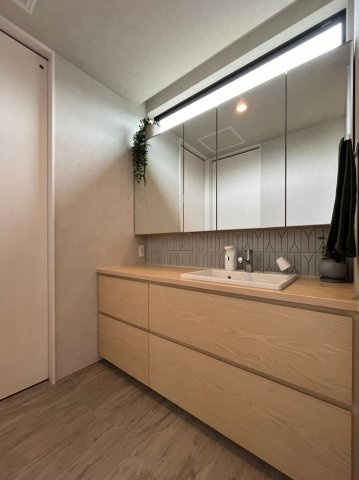 葵区銭座町　中古一戸建ての独立洗面台