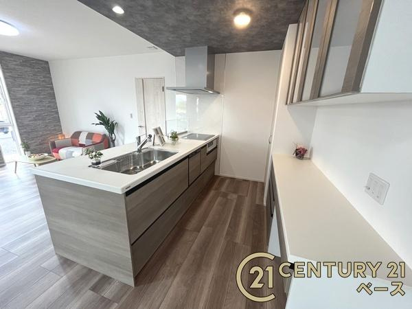 北葛城郡広陵町笠　一戸建のキッチン