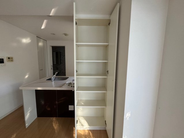 豊中市西泉丘３丁目の賃貸マンションの収納