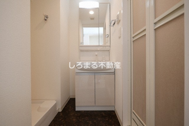 アドバンス大阪ルーチェの洗面所