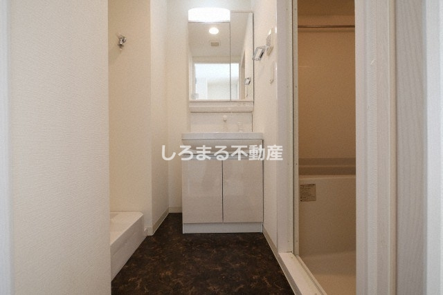 アドバンス大阪ルーチェの洗面所