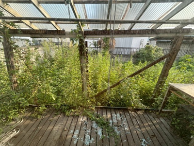 【庭】 | 【再建築不可】藤岡市藤岡　平屋
