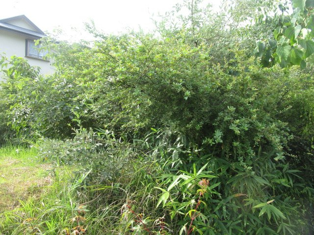 亀岡市東別院町鎌倉見立24-142売土地の外観