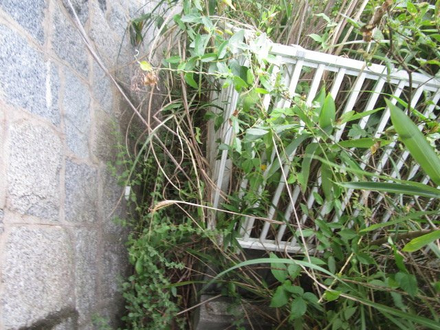 亀岡市東別院町鎌倉見立24-142売土地