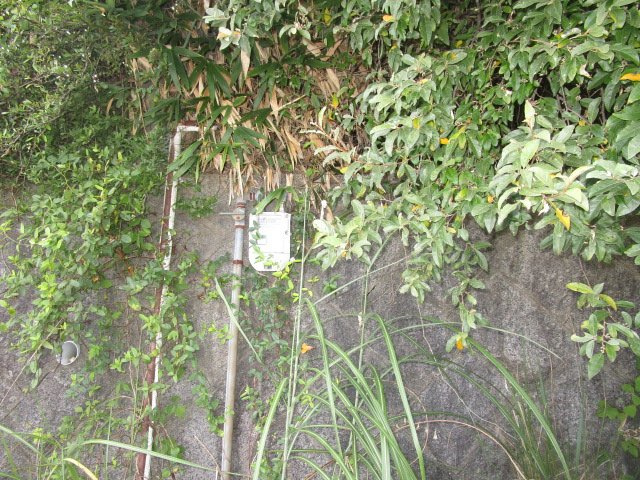 亀岡市東別院町鎌倉見立24-142売土地のその他