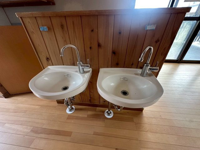 杉山コーポの洗面所