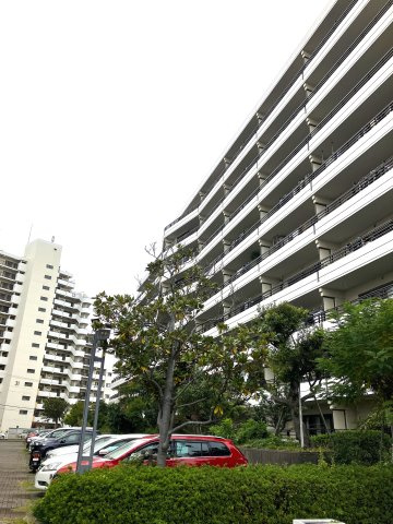 三つの街区から成るビッグコミュニティ！
緑豊かな自然環境と商業施設にも出やすい利便性を兼ね備えた人気のエリアです。