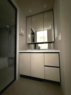 ランカフィクス志木 の洗面所