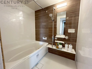 ユニットバスは省スペースでありながら、シンプルな設計と使いやすさを備え、簡便なメンテナンスが可能です。またミラー・小物置き場もあり便利です。
