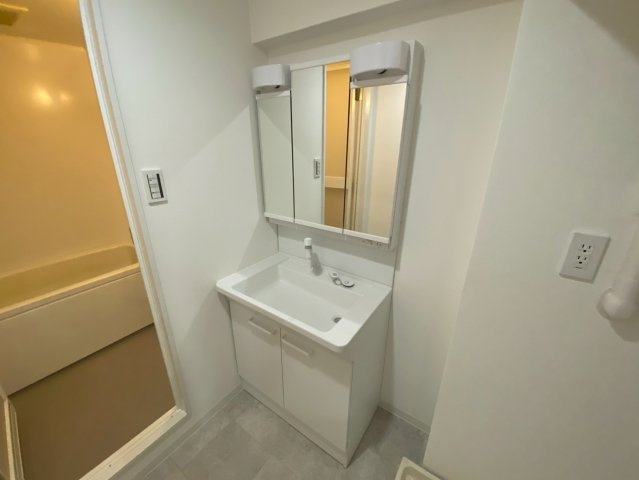 三旺マンション藤森の独立洗面台|独立洗面台あり、毎朝おしゃれに忙しい女性の方におすすめです