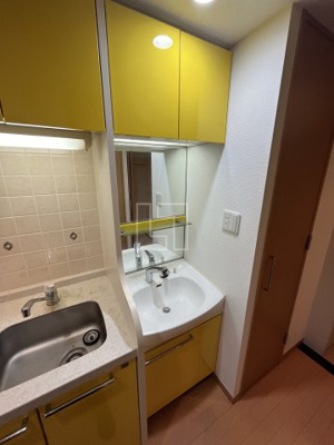 【洗面所】 | プレサンス心斎橋リベルタ | プレサンス心斎橋リベルタ　独立洗面化粧台