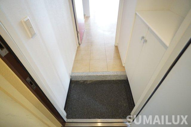 熊本市南区平田２丁目の賃貸マンションの玄関