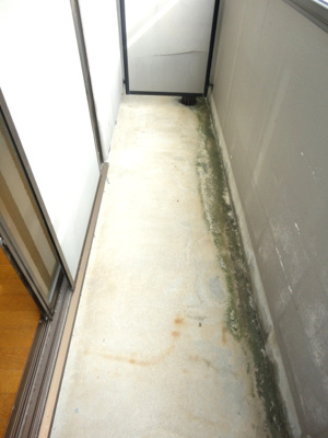 【バルコニー】 | シャルムⅠ