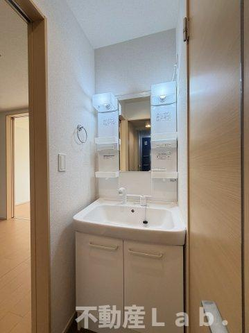 グレイスフル松山の洗面所