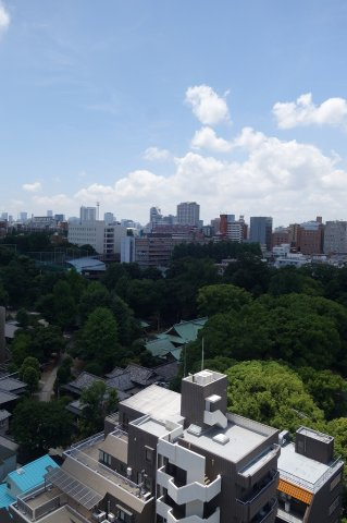 LaSante文京千駄木の展望
