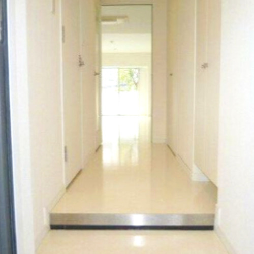 六本木デュープレックスエムズの内装