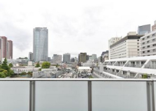 六本木デュープレックスエムズの展望