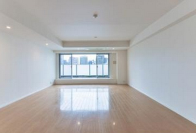 六本木デュープレックスエムズの居間・リビング