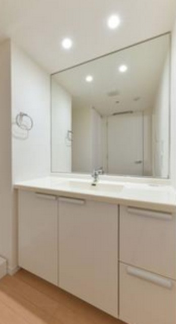 六本木デュープレックスエムズの洗面所