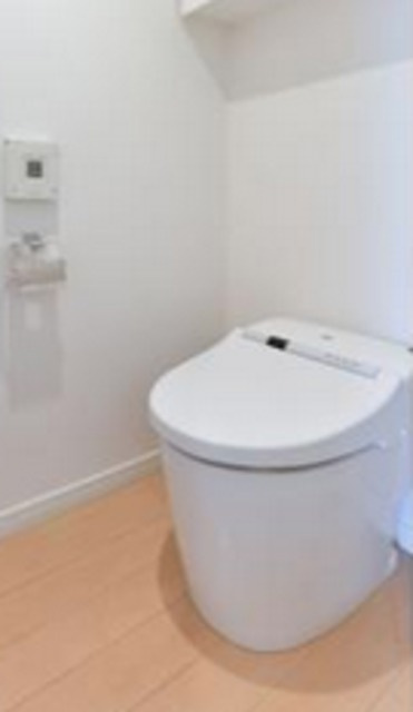 六本木デュープレックスエムズのトイレ