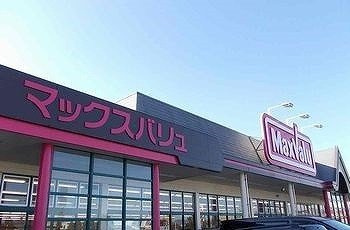 【周辺】 | メゾングレーヌ東出Ａ | マックスバリュ　太子店まで290m