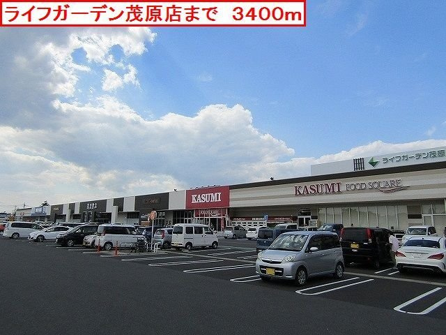 ライフガーデン茂原店まで3400m