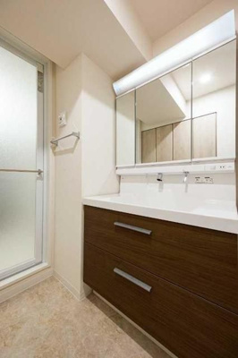 【洗面所】 | LUMICITY月島(ルミシテイ月島)