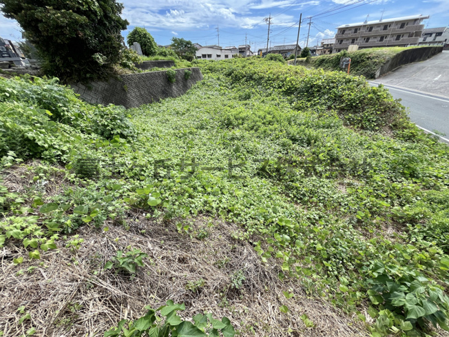 【外観】 | 磐田市一言　住宅用地 | 454㎡(137.33坪)
