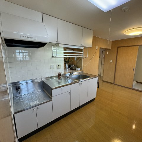 エルストファーゼ常盤Ⅱのキッチン