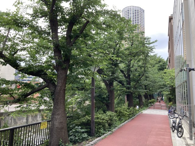 【周辺】 | 中目黒駅5分 マーキュリー中目黒 2階 14.96坪 韓国料理居抜き