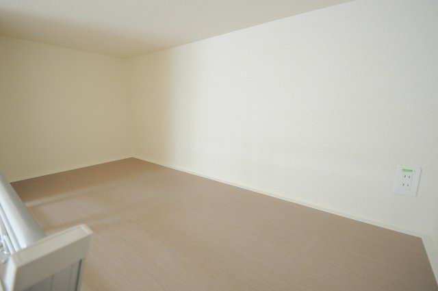 レオネクストジーシンのその他