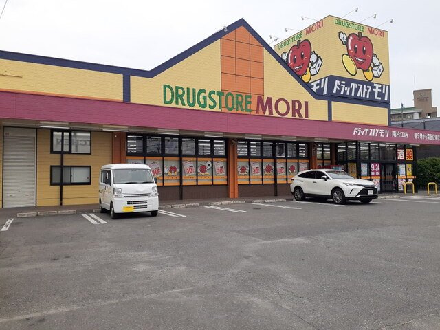 ワーズイヤー１２の周辺|ドラッグストアモリ南片江店まで300m