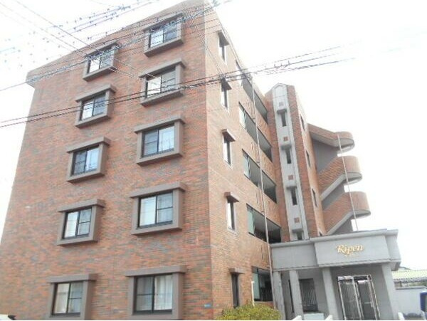 ライプン(RIPEN)の展望