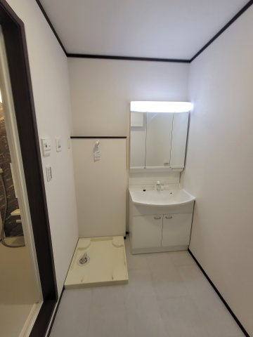 ニュースカイタウンD棟の洗面所