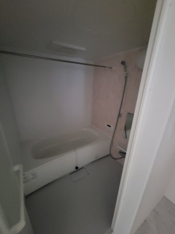 ニュースカイタウンC棟の浴室