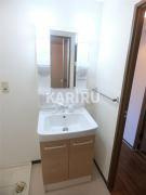 ニューセンチュリー西村の洗面所