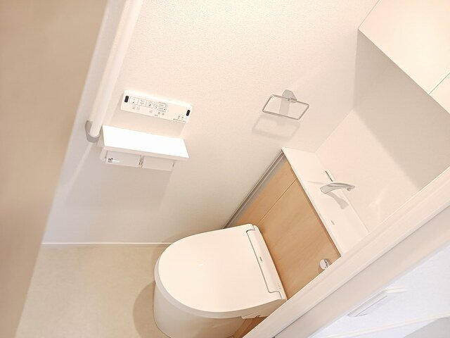 ＦＬレジデンス１のトイレ|落ち着いた色調のトイレです