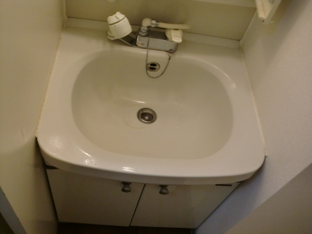 新品家具付きマンション赤坂21(KaGood福岡)の洗面所